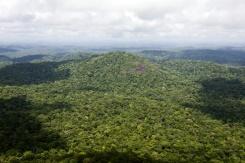 Amazon Rainforest: the Guarani-Kaiowá’s call for help against deforestation
