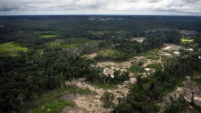 L'Amazonie grignotée par la ruée vers l'or clandestine