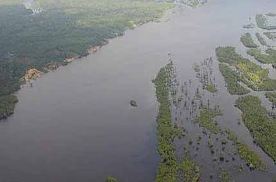 Brasil sentencia de muerte la selva del Amazonas