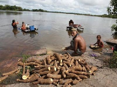 Les Indiens Arara sollicitent du Ministère Public Fédéral une enquête sur la pollution des eaux du Xingu provoquée par le chantier de Belo Monte