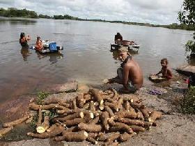 Les Indiens Arara sollicitent du Ministère Public Fédéral une enquête sur la pollution des eaux du Xingu provoquée par le chantier de Belo Monte