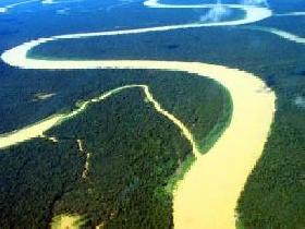 Ação judicial questiona corte de áreas na floresta amazônica