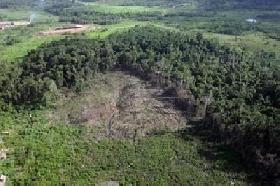 Brésil: Rousseff met son véto partiel à une loi réduisant la protection de l'Amazonie