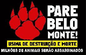 Nota pública: Belo Monte parou: as mentiras da Norte Energia e as demandas de reversão de danos
