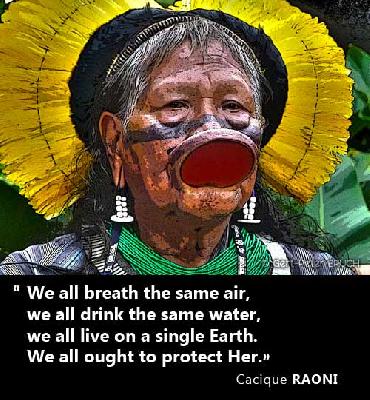SAY YES TO THE AMAZON, NO TO BELO MONTE. Join the fight on the Amazon Planet Facebook page