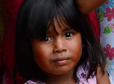 FELIZ 2013 PARA TODOS !  A luta pela Amazônia continua com vocês