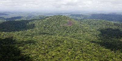 Des pays s'engagent à la restauration de plus de 60 millions d'hectares de forêt
