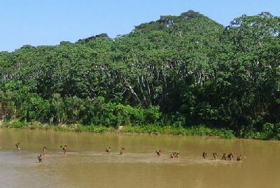 Amazonian tribes endangered by external contact