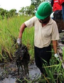 Oil spill in Amazon Rainforest: Pluspetrol refuses to pay for damages
